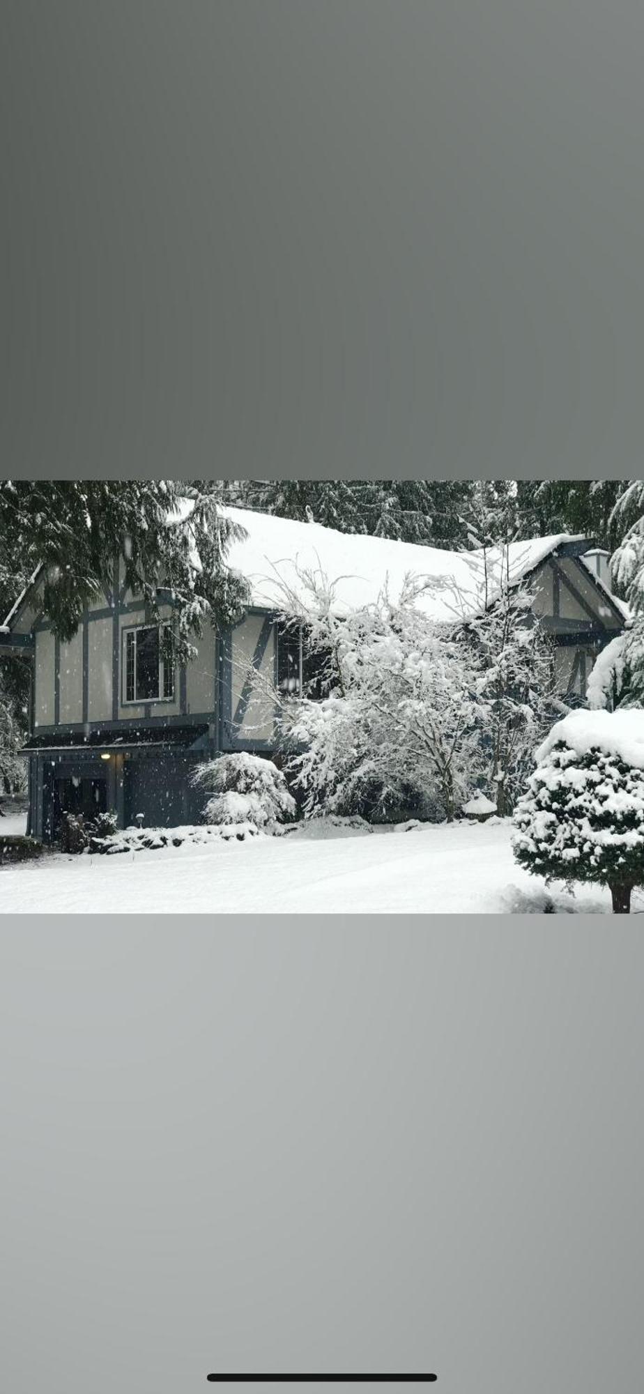 Cozy Bird House W Big Screen! Mount Hood Village Eksteriør billede