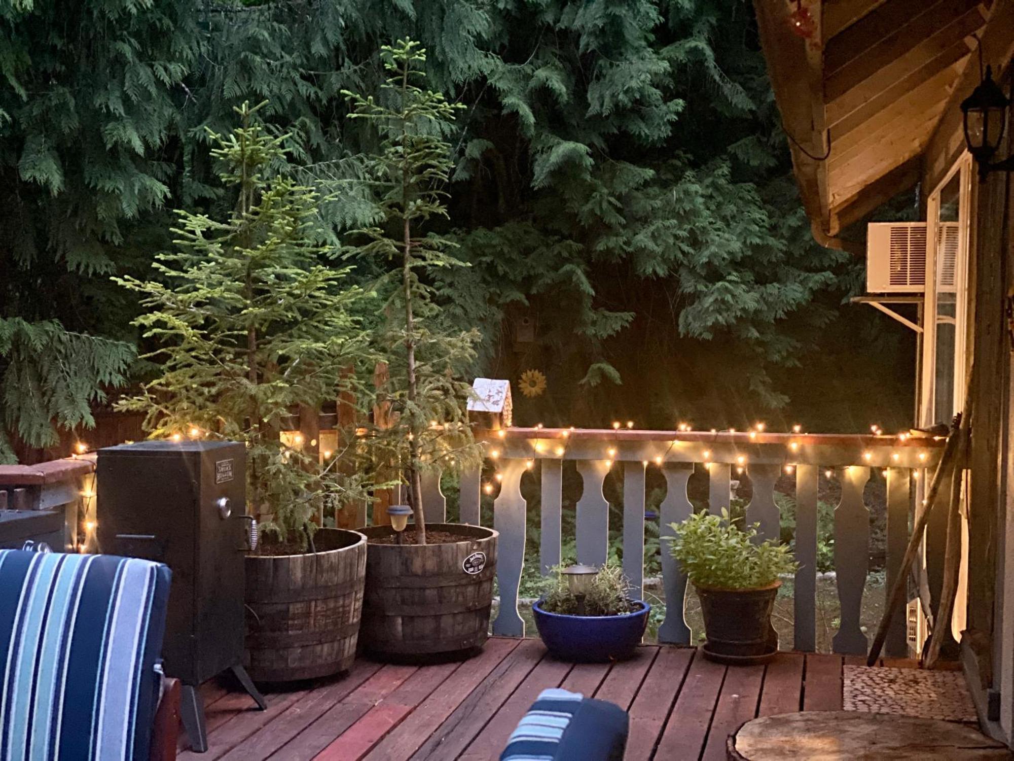 Cozy Bird House W Big Screen! Mount Hood Village Eksteriør billede